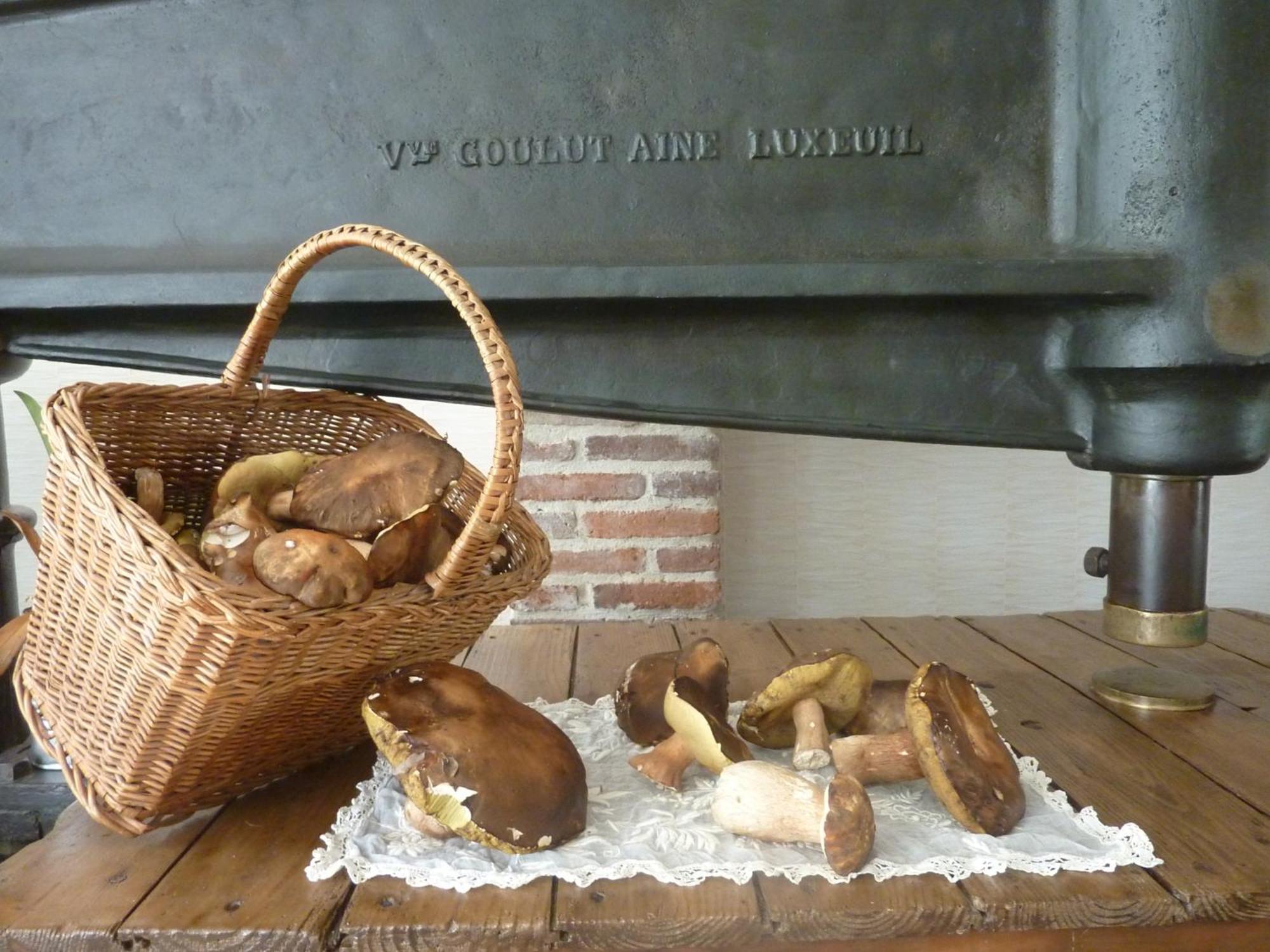 Domaine De La Tannerie Chambres D'Hotes Et Appartements Prades  Luaran gambar